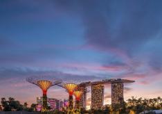 Парк деревьев в Сингапуре “Gardens by the Bay”